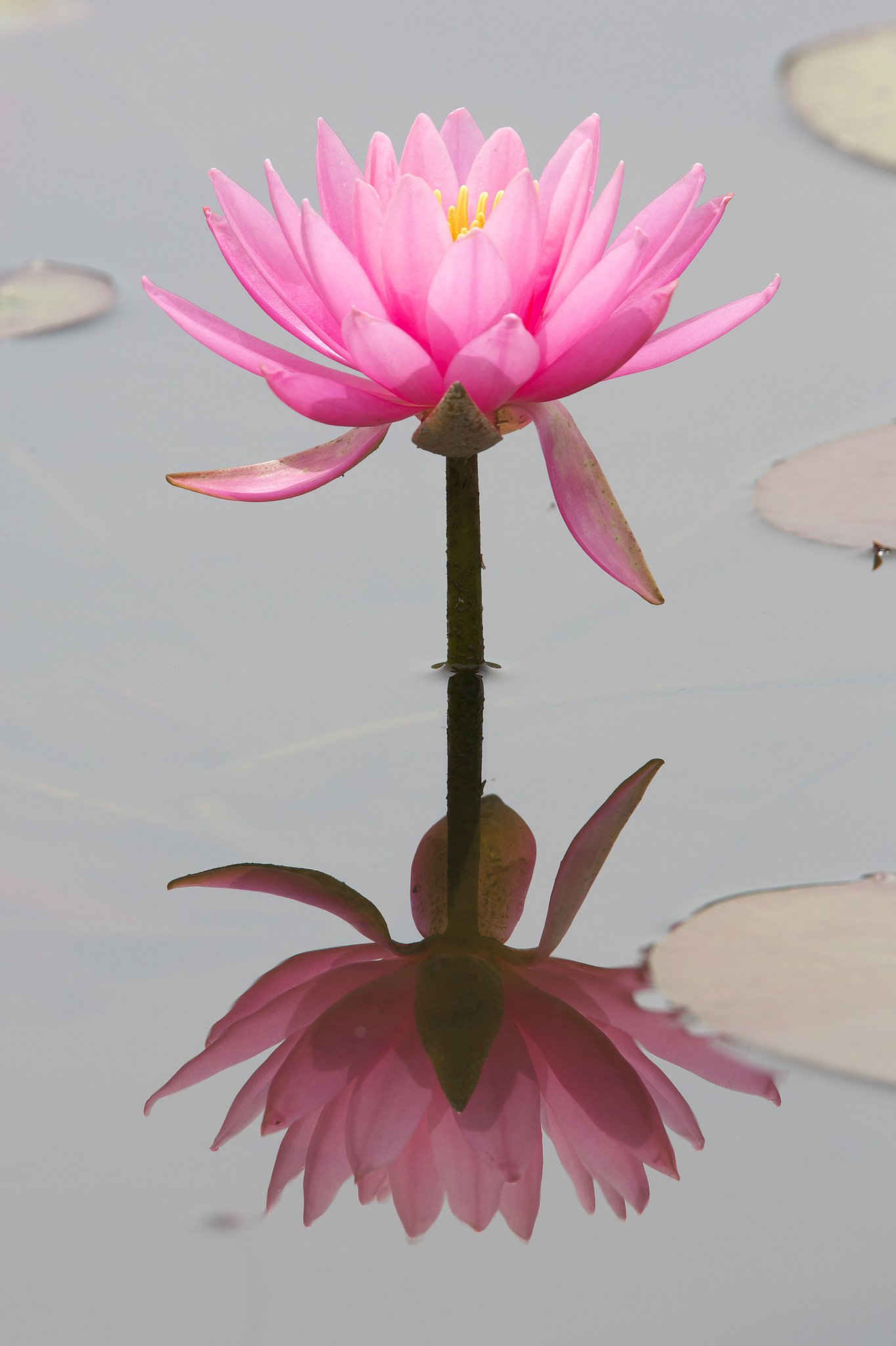 水鏡