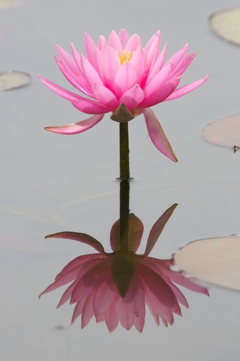 水鏡