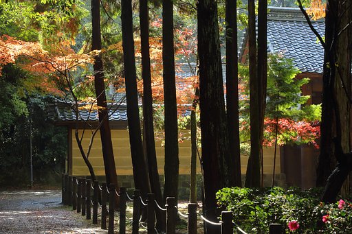 近所のお寺で