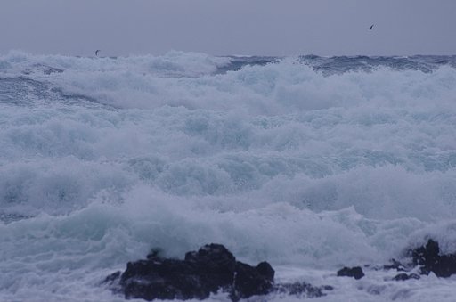 日本海