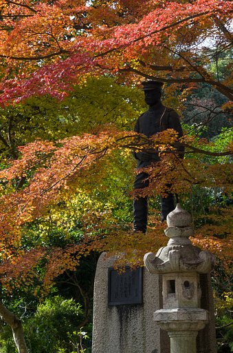 紅葉