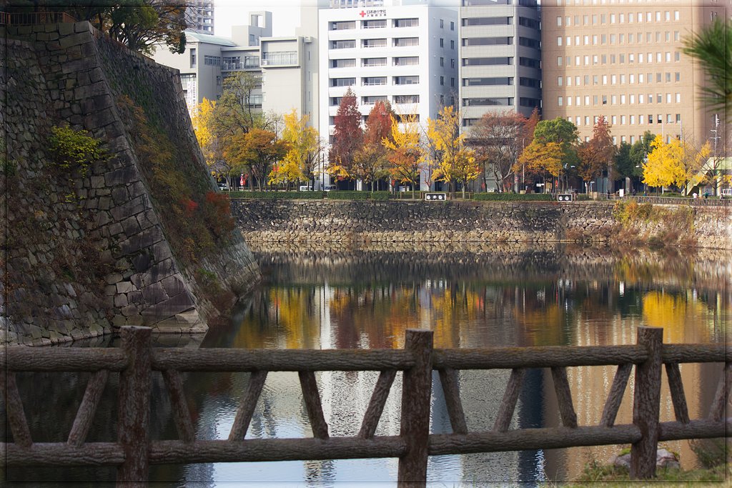 お濠の秋