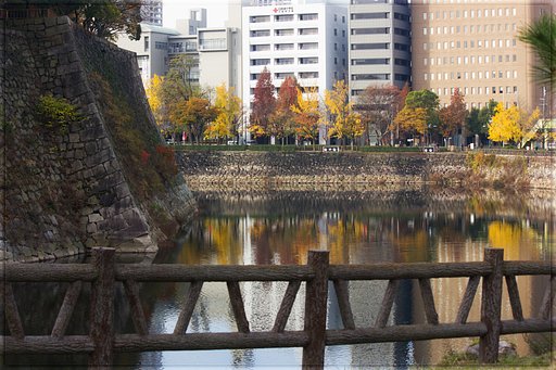 お濠の秋