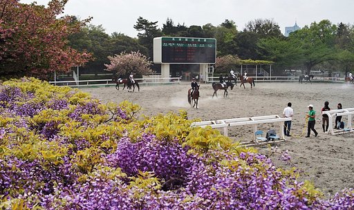 馬事公苑にて