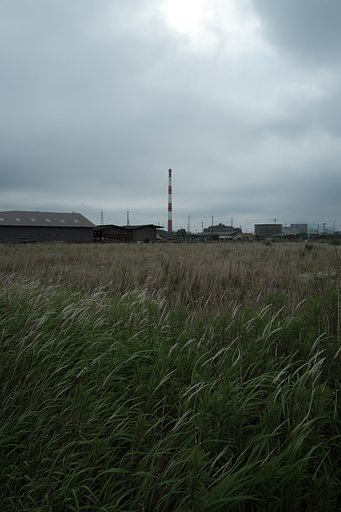 梅雨の空に