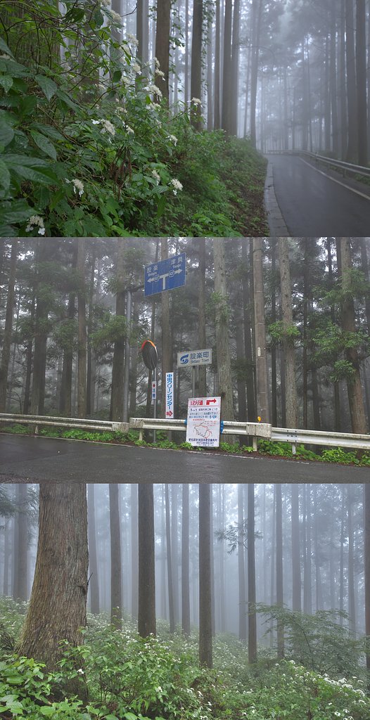 奥三河の梅雨どき