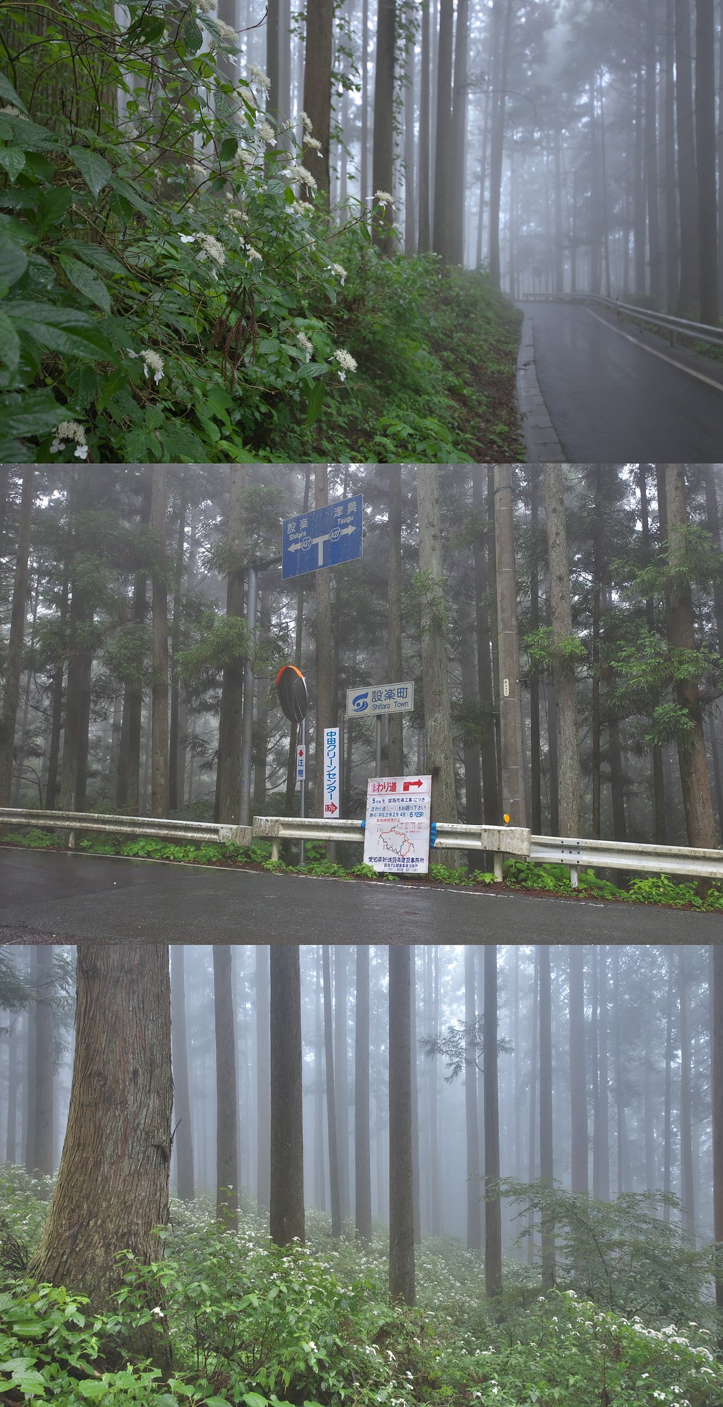 奥三河の梅雨どき