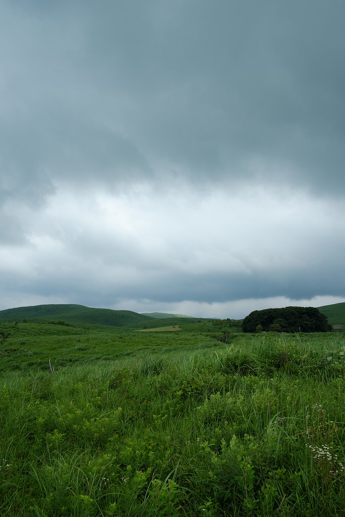 雲