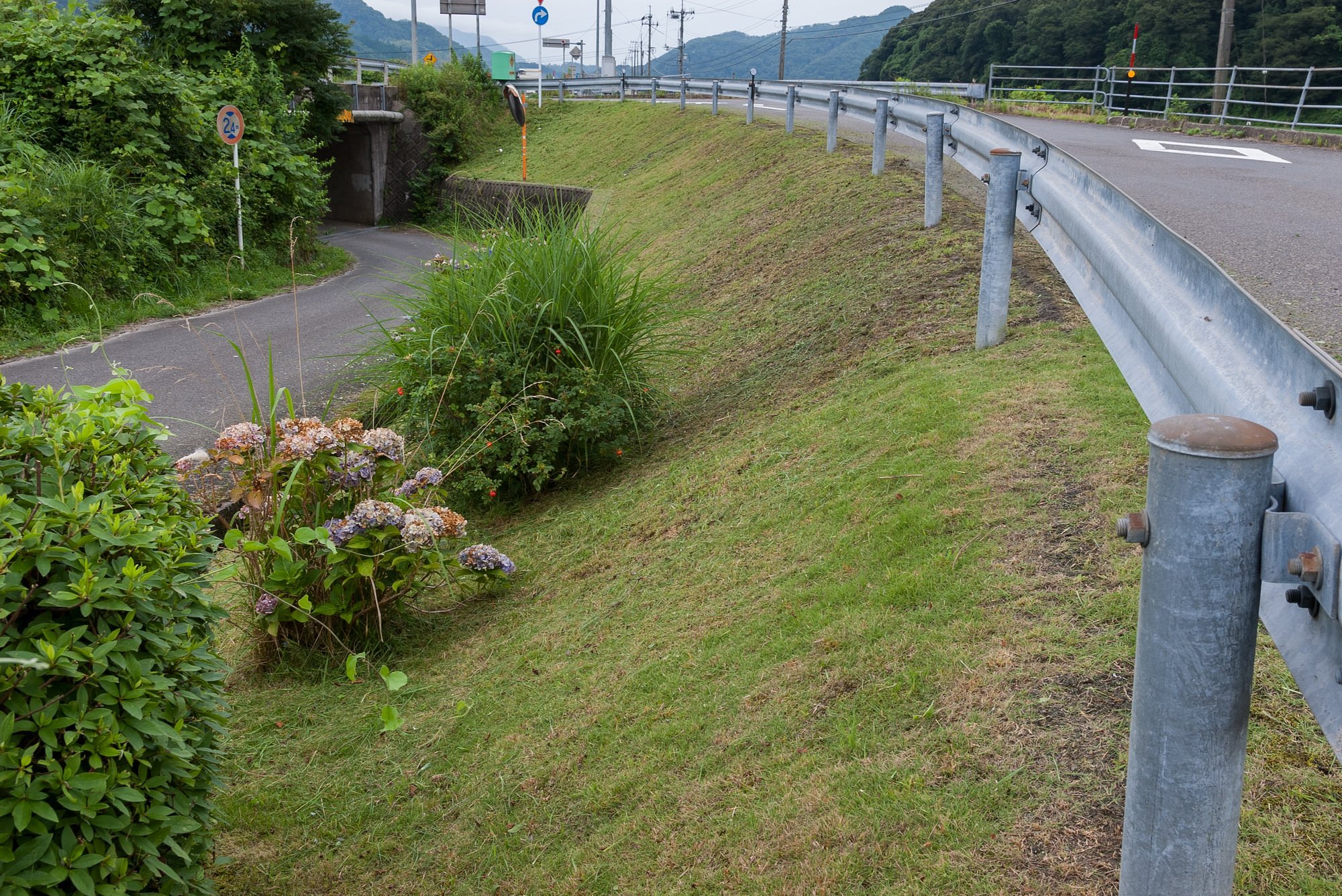 曇りの予報ですが・・。