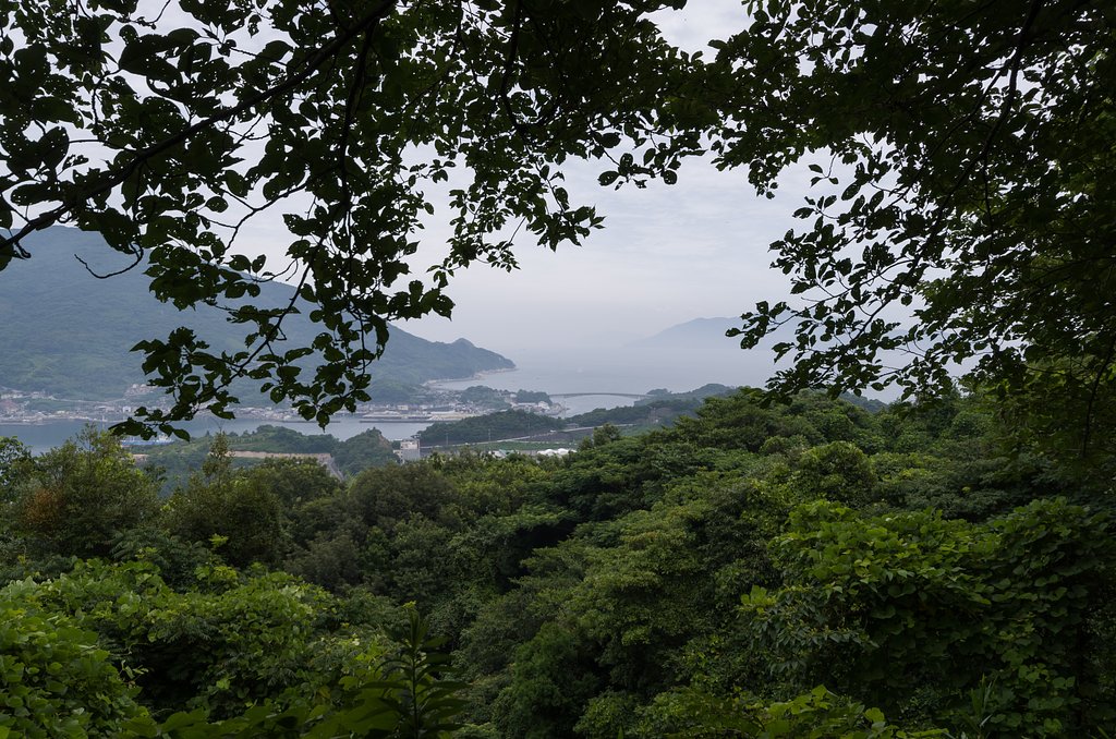 島の梅雨