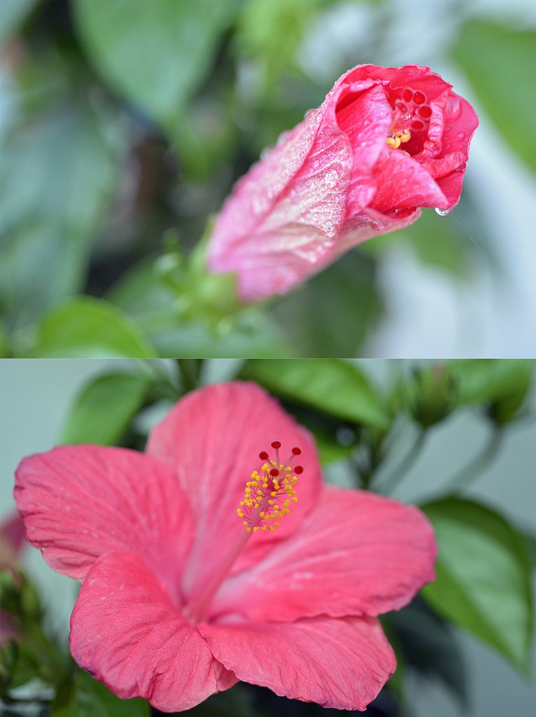 【広がり】　朝と昼