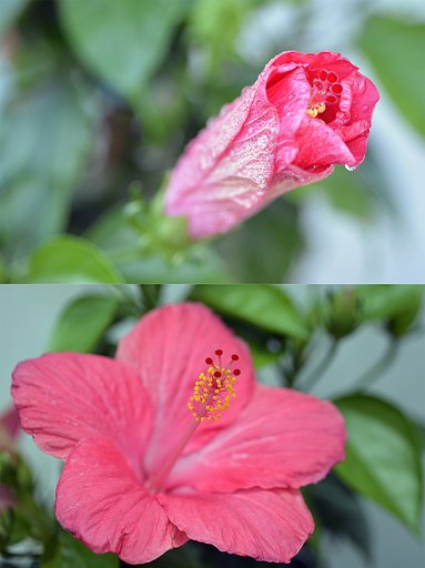 【広がり】　朝と昼