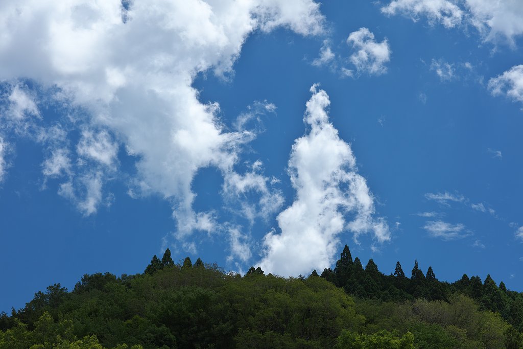 くも