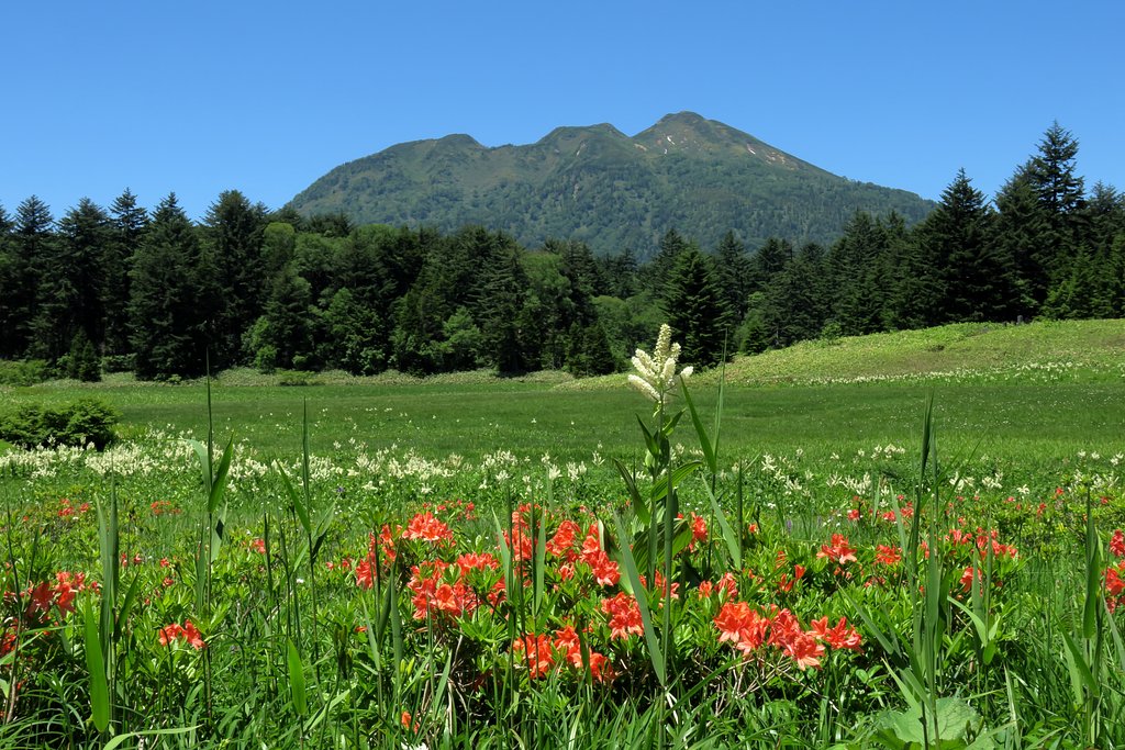東北の最高峰