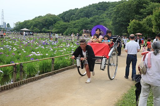 わが町の菖蒲祭り