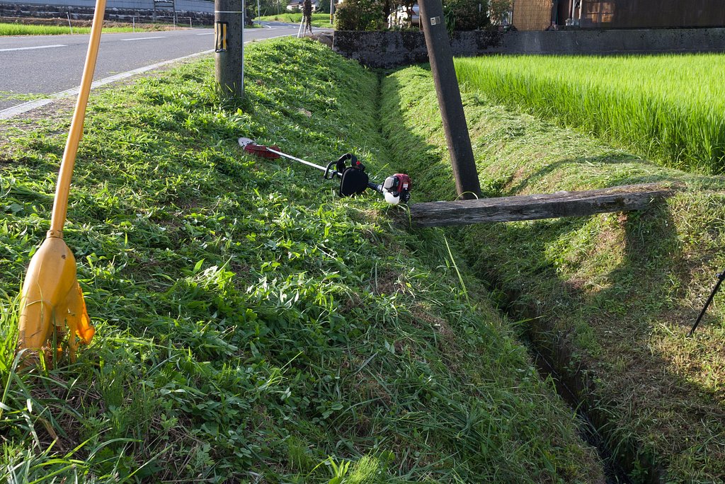 晴れのち雨降り!