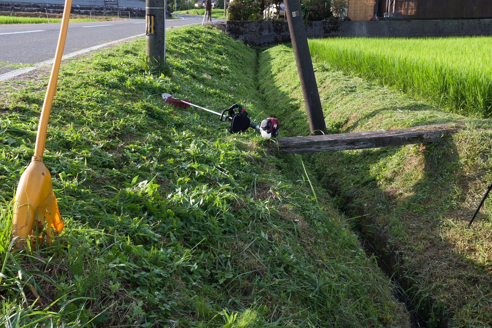 晴れのち雨降り!