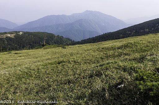 山でのもうひとつのお楽しみⅡ