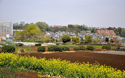 農道の景色（1）