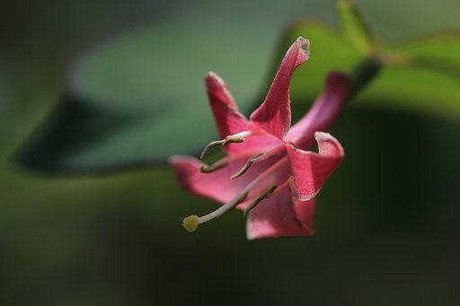 ミクロの世界