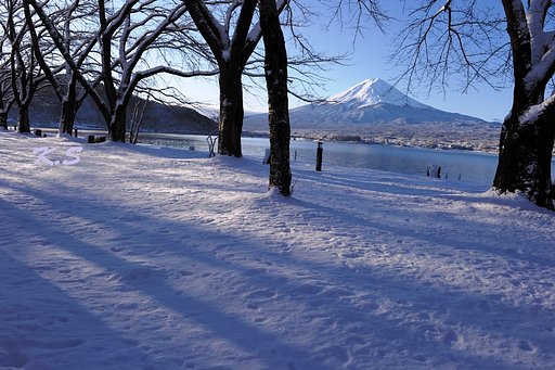 斜光に富士山