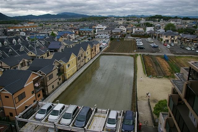 田植えの準備