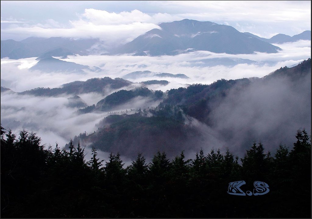富士川・十国峠の雲海