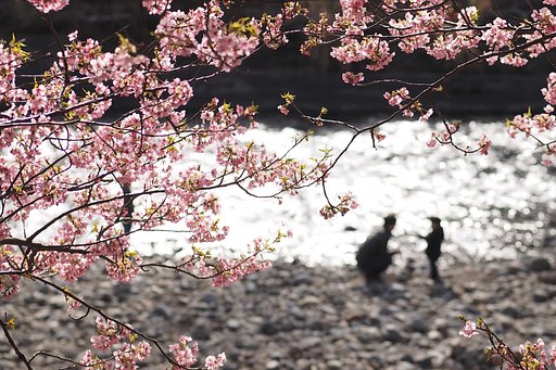 【フリー】春ものがたり