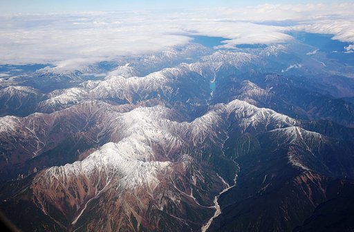 11月8日の写真