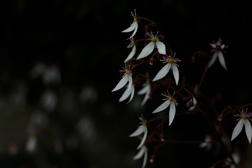 白がウマく出せない　Ⅱ