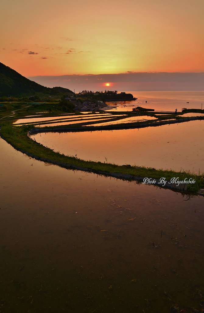 棚田の夕景