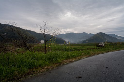 うっとおしい朝に・・。