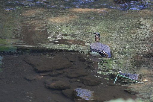 健気