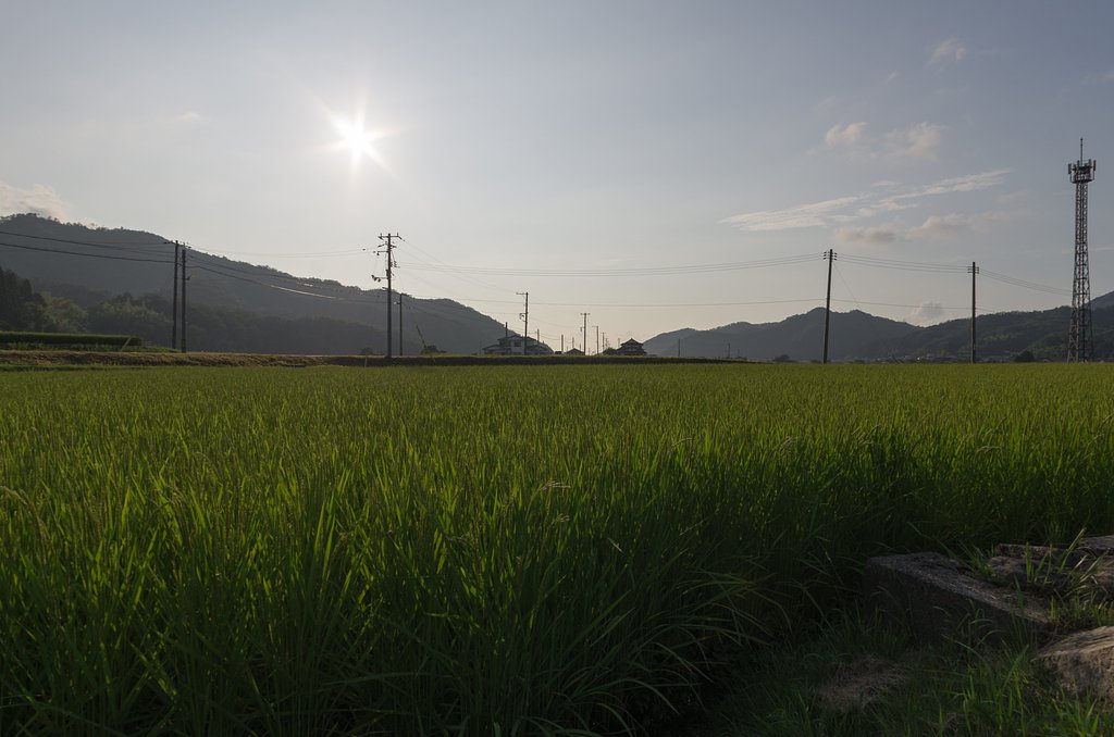 夕方も晴れ!