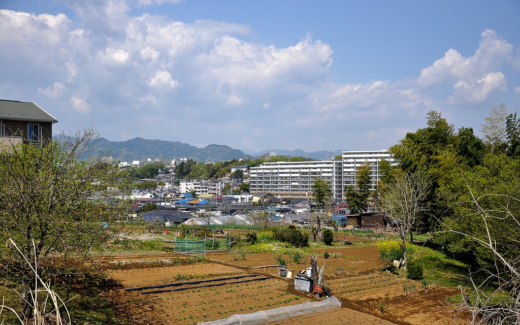 雨上がりの風景