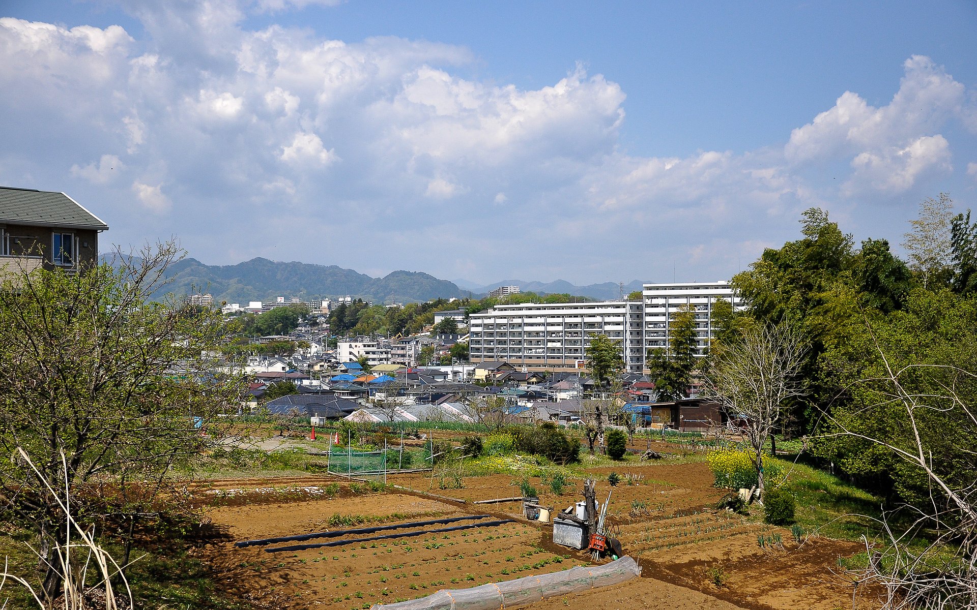 雨上がりの風景