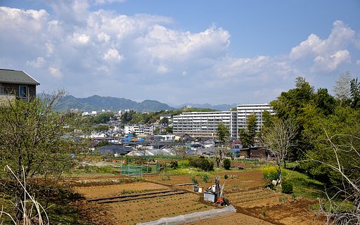 雨上がりの風景