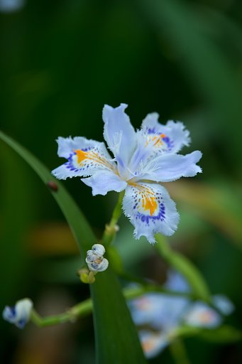 TAMRON 28-300mm F3.5-6.3 VC