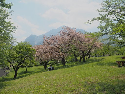 行く春を見送る