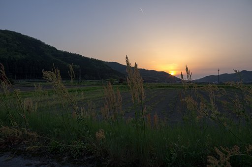 雲一つない美しい夕焼けに。