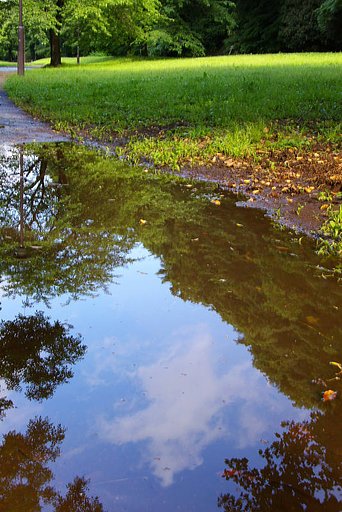 雨上がりの水たまり