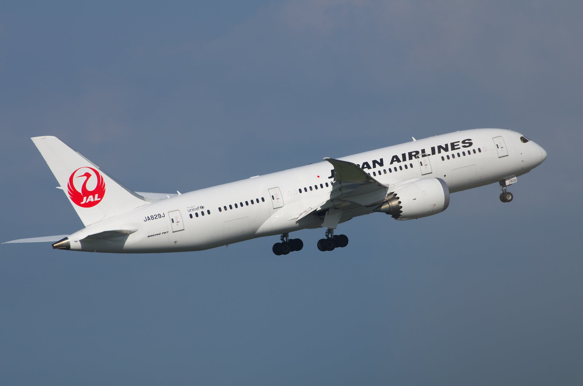 JALの787（70-300mm試し撮り）