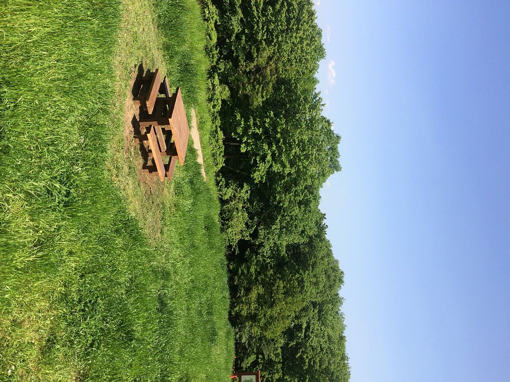 近所の公園
