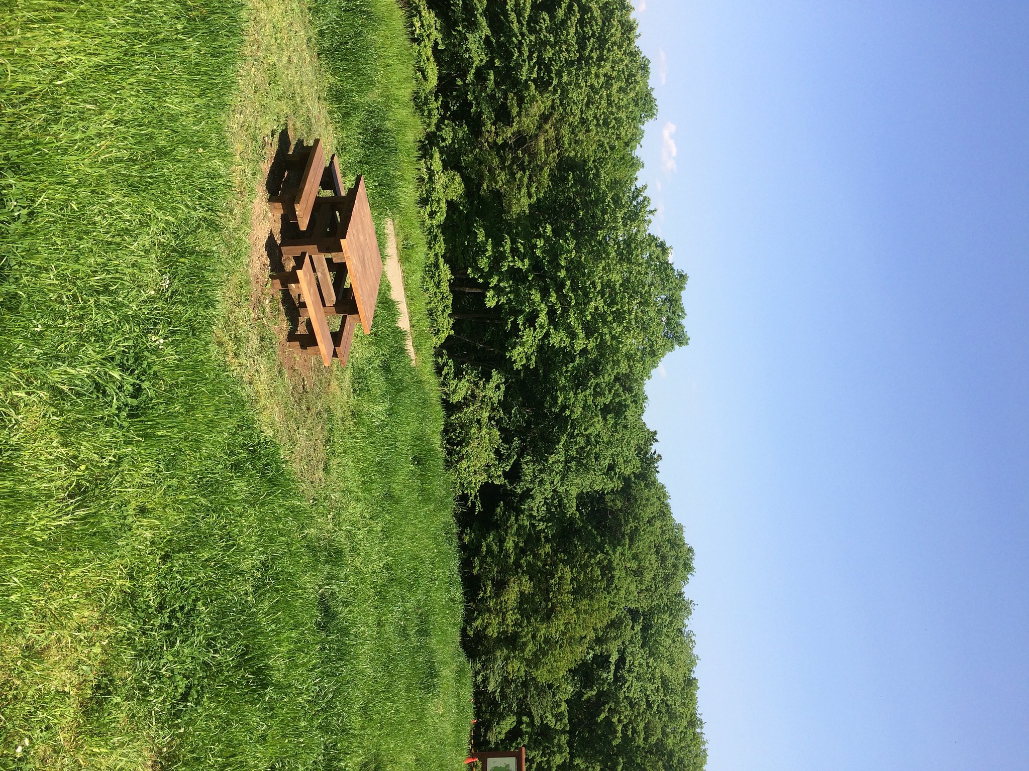 近所の公園