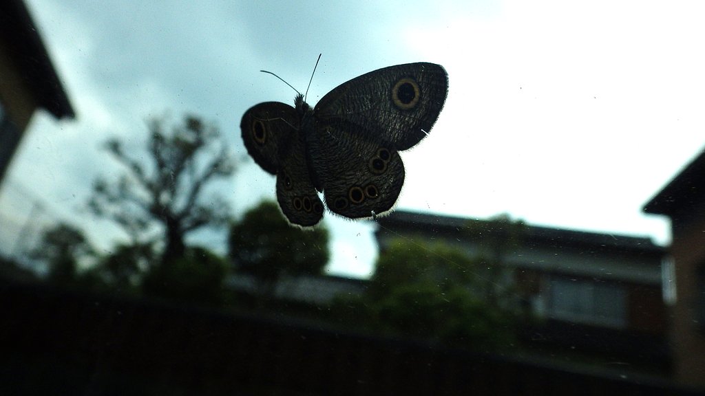不気味に撮れました。