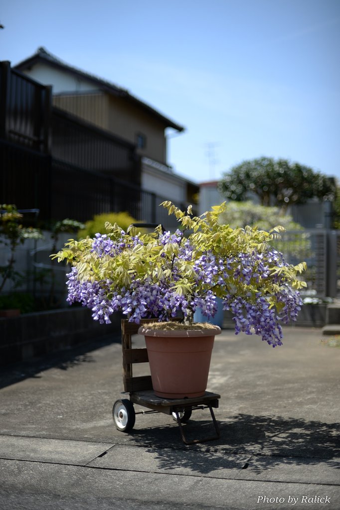 洒落た・・・