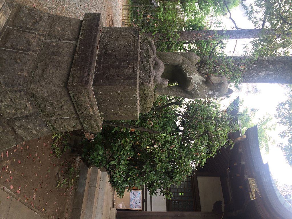 神聖な空気に包まれて