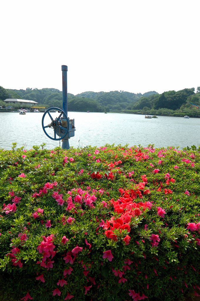蓮華寺公園にて（３）