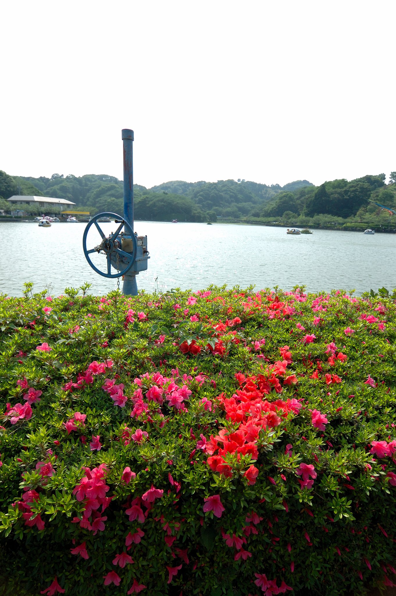 蓮華寺公園にて（３）