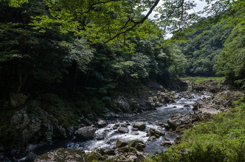SIGMA 17-70mm F2.8-4 DC MACRO 